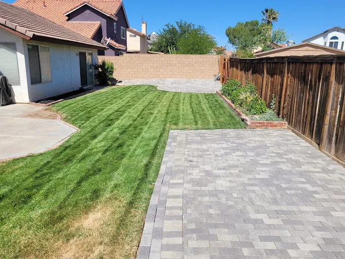 mowed lawn