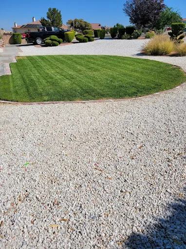 well maintained lawn