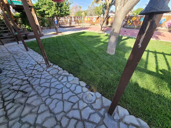 Lawn with pavers