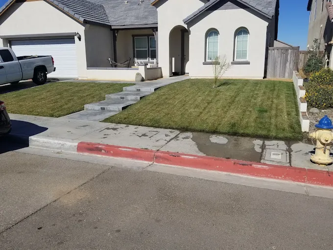 Lawn