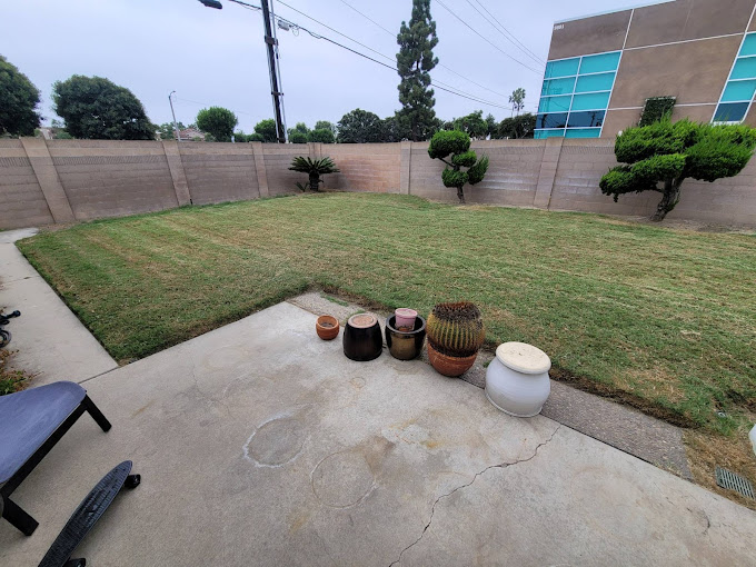 Freshly mowed lawn