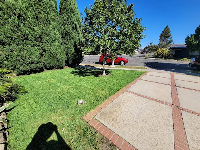 Blog Listing Image