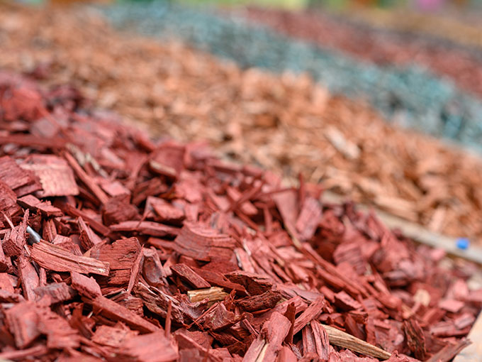 Blog Listing Image